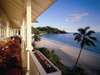 Banyan Tree - Deck 